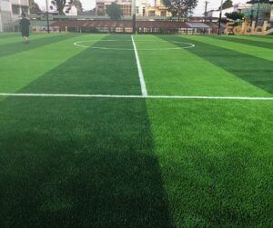 Trường THPT Buôn Hồ - Đắk Lắk