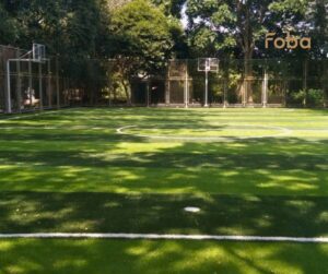 Trường THPT Thiên Hộ Dương - Vĩnh Long